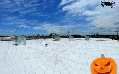 Horror Stories: Commercial Roofing Issues to Haunt Your Nightmares