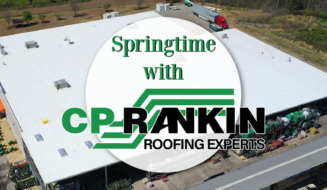 Springtime: Prime Time for Commercial Roof Maintenance
