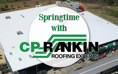 Springtime: Prime Time for Commercial Roof Maintenance